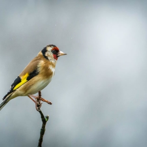 Lunt Meadows   03 01 2016 (12 Of 200).jpg